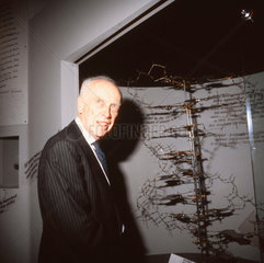 James Dewey Watson with his original DNA model  9 June 1994.