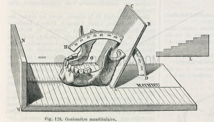 Mandibular goniometer  1883.