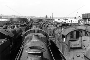 Rows of disused steam locomotives  Barry