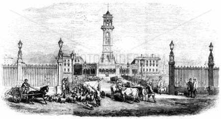 New Metropolitan Cattle Market  King’s Cross  London  1855.