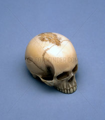 Model of a skull  probably a netsuke  Japanese.