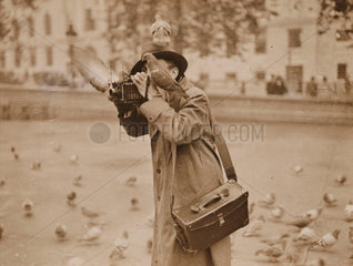 Pigeons in Trafalgar Square  27 October 1933.