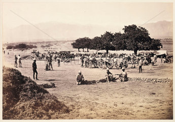 'Jellallabad [sic] - Scenes in Camp'  1879.