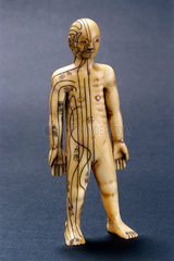 Netsuke inscribed with acupuncture meridians  Japanese  18th-19th century.