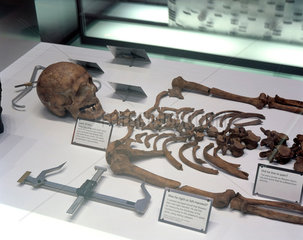 'Ancient DNA' showcase  Science Museum  London  April 2000.