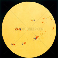 Solar disc showing sunspots in false colour  taken from Skylab  1973.