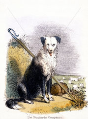'The Shepherd's Companion'  c 1845.