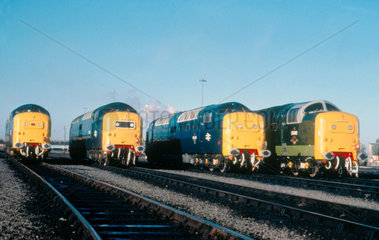 Four diesel Class 55 Deltic Locomotives  No