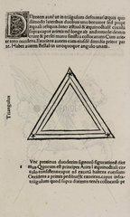 The constellation of Triangulus  1488.
