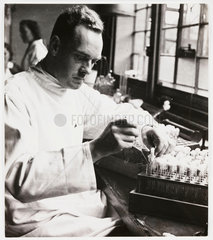 Testing penicillin solutions in a laboratory  1943.