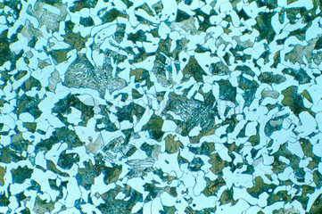 0.4% carbon steel. Light micrograph in brig