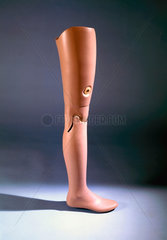 Artificial leg  flesh coloured  1979-81.