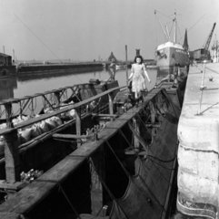 Teenage girl on narrow boat  Western Point Docks  near Runcorn  1950.