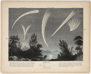 'Comets'  c 1860.