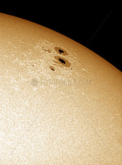 Sunspots  2004.