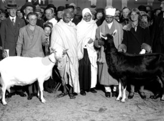 Mahatma Gandhi at a dairy show  Agricultural Hall  24 October 1931.