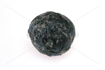 Rubber ball from Peruvian child's grave  c 1600.