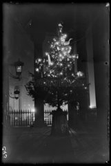 Christmas tree at St Martin-in-the-Fields  London  1932.