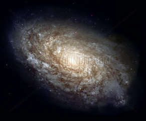 Magnificant details in a dusty spiral galaxy  1999.