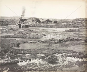‘Central channel sudds’  Aswan  Egypt  January 1900.