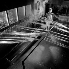 A process worker examines strands of fibre glass outside the creel room. 1965.