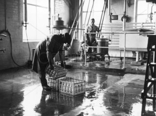 Lifting crates of bottled milk at a dairy