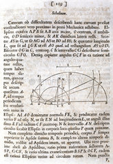 Scholium  from Newton's 'Principia Mathematica'  1687.