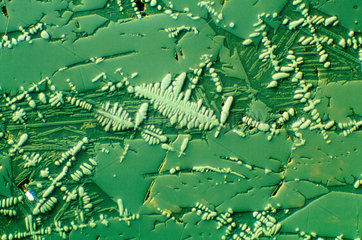 Fused cast refractory. Light micrograph in