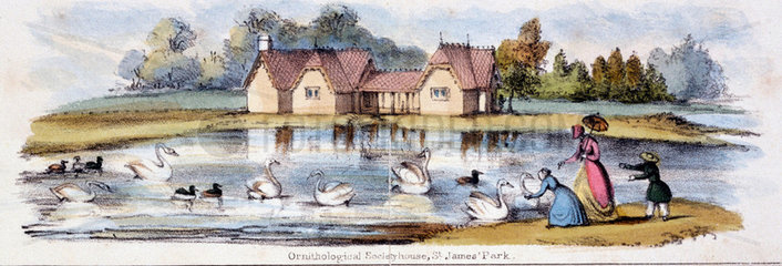 'Ornithological Society House  St James Park’  c 1845.