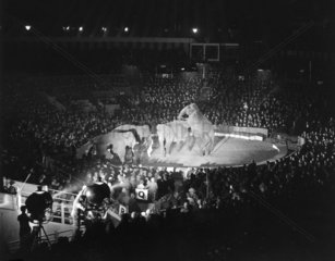Elephants perform at Olympia  1932.