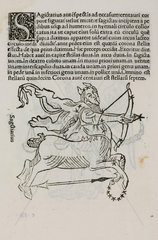 The constellation of Sagittarius  1488.