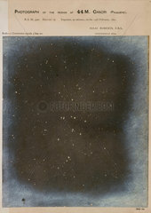 Praesepe  the beehive star cluster (M44)  1891.