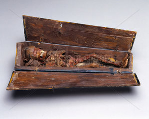 Stylised model of a decomposing corpse in a coffin.