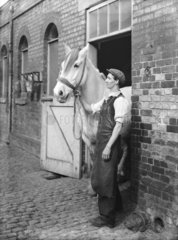St Pancras Station's King's Road stables  London  1936.