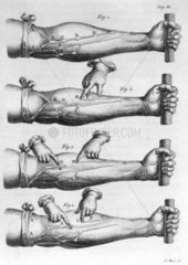 Circulation of the blood  1766.
