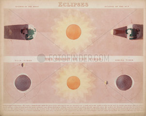 'Eclipses' and ‘The Theory of the Tides’  c 1851.