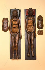 Two wooden anatomical figures  17th century.
