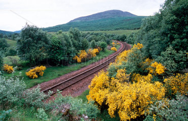 The West Highland Line from Glenfinnan Stat