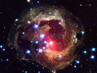 The star V838 Monocerotis  c 2005.