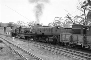 Locomotive number 2351 with a goods train  South Africa  1968.
