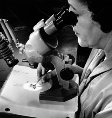 A female Mullard worker with microscope tests components  1965.
