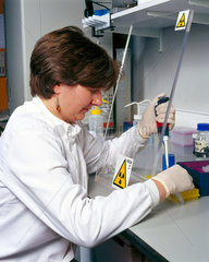 Molecular geneticist labelling a radioactive probe.