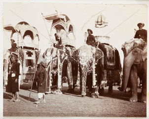 State elephants at a Durbar  India  c 1908.