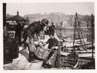 Unloading fish at Whitby Harbour  c 1905.