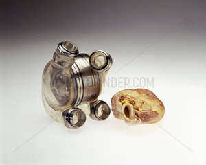 Artificial heart and transgenic pig's heart  2000.