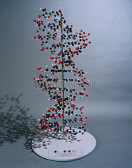 Ball and spoke model of DNA.