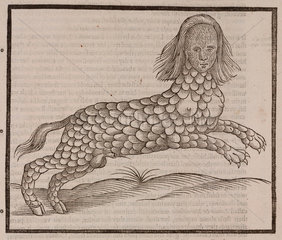 The Lamia  1607.