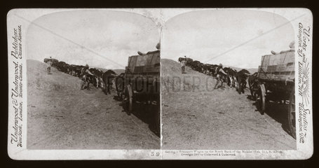 'Getting a Transport Wagon up the North Bank of the Modder  South Africa’  1900.