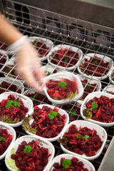 Essen  Deutschland  Schaelchen mit Rote Beete Salat in einer Grosskueche im Krankenhaus