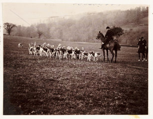 Huntsman and hounds  c 1905.